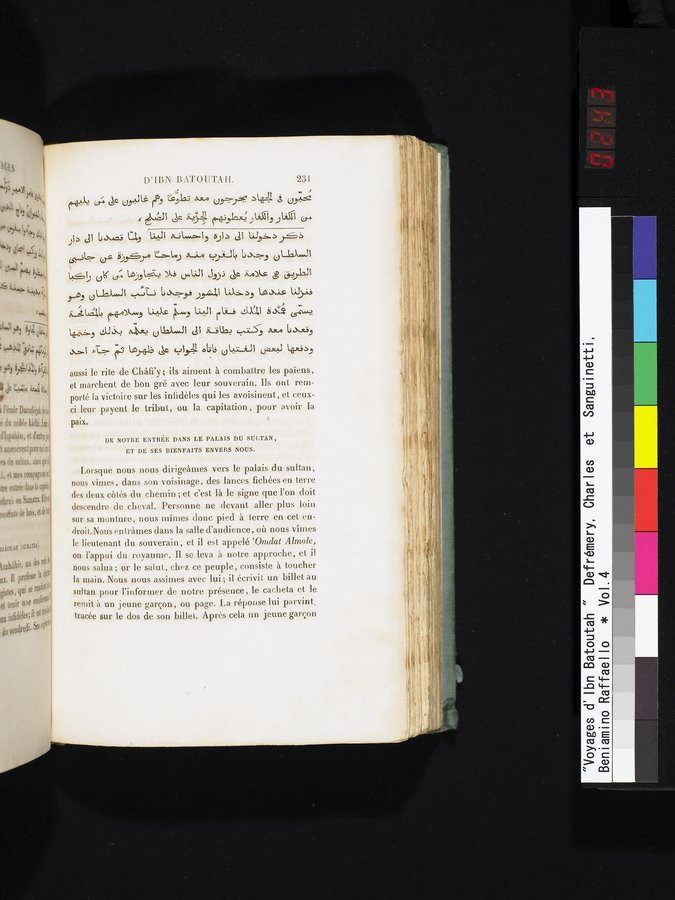 Voyages d'Ibn Batoutah : vol.4 / 243 ページ（カラー画像）