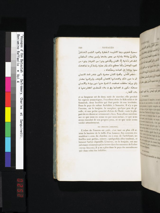 Voyages d'Ibn Batoutah : vol.4 / 252 ページ（カラー画像）