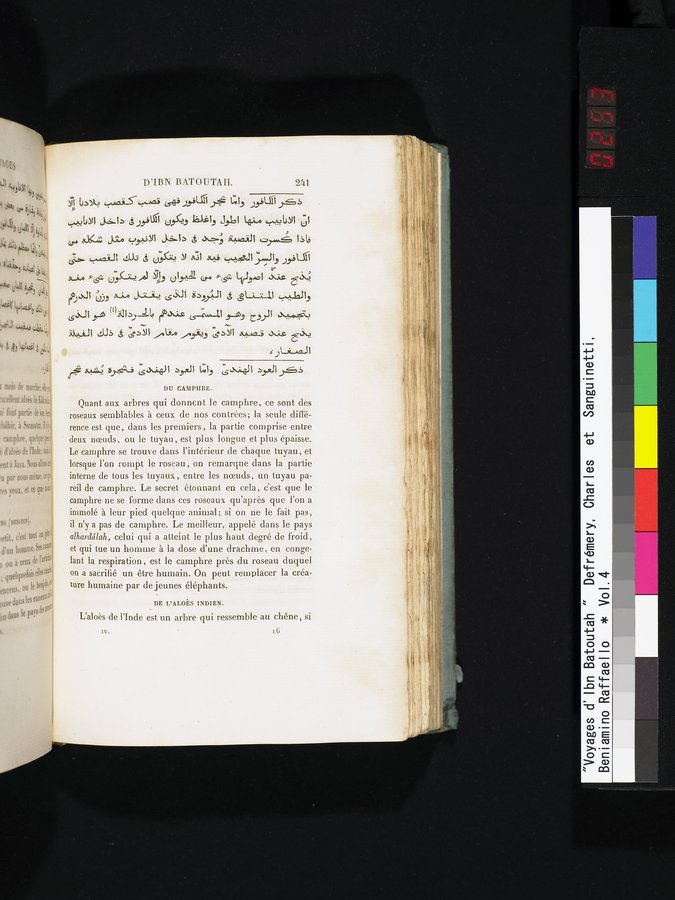 Voyages d'Ibn Batoutah : vol.4 / 253 ページ（カラー画像）