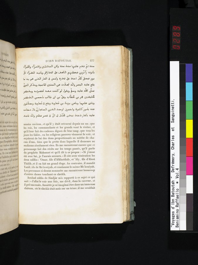 Voyages d'Ibn Batoutah : vol.4 / 289 ページ（カラー画像）