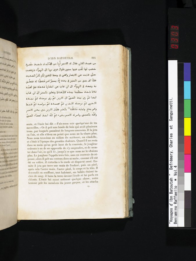 Voyages d'Ibn Batoutah : vol.4 / 303 ページ（カラー画像）