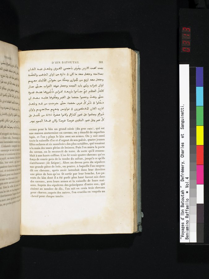Voyages d'Ibn Batoutah : vol.4 / 313 ページ（カラー画像）