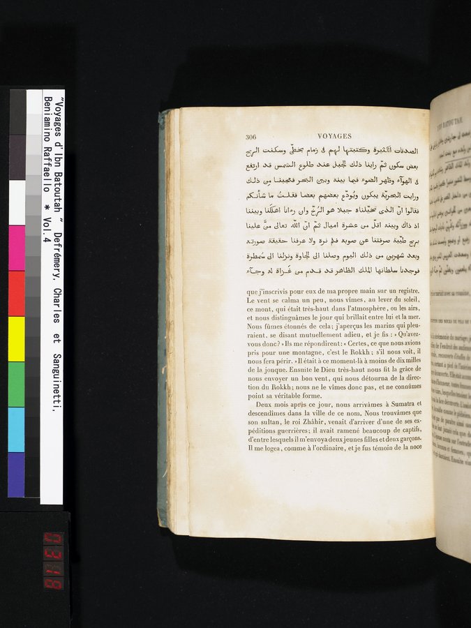 Voyages d'Ibn Batoutah : vol.4 / 318 ページ（カラー画像）