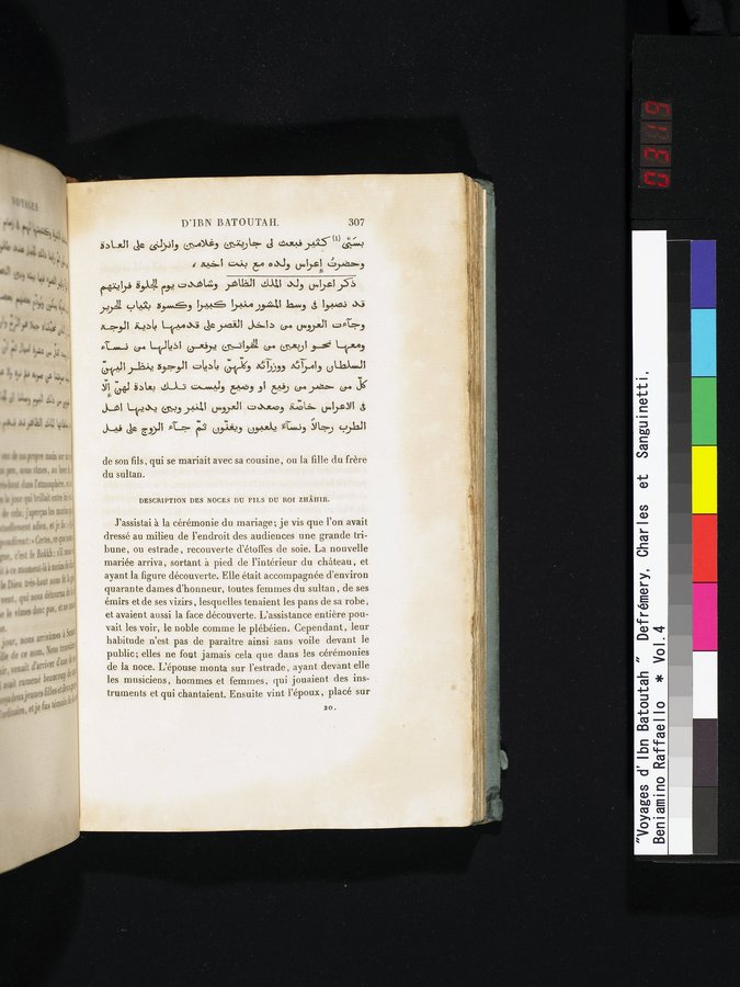 Voyages d'Ibn Batoutah : vol.4 / 319 ページ（カラー画像）