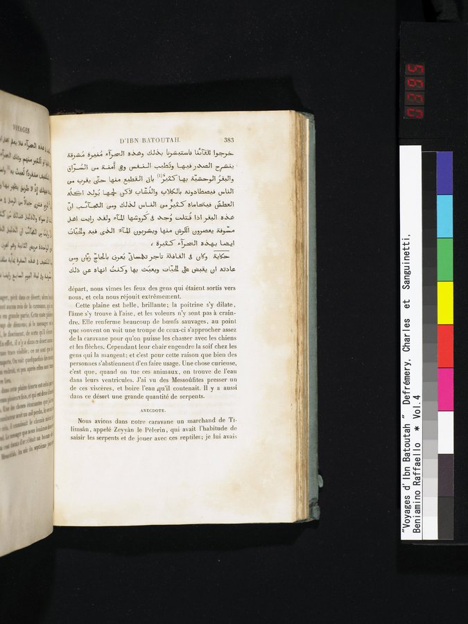 Voyages d'Ibn Batoutah : vol.4 / 395 ページ（カラー画像）