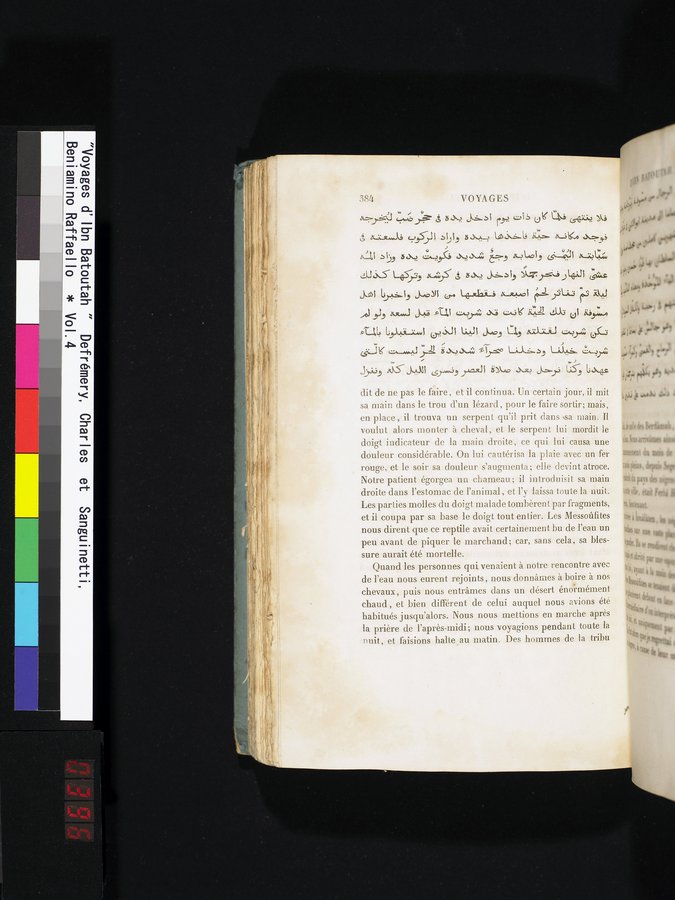 Voyages d'Ibn Batoutah : vol.4 / 396 ページ（カラー画像）