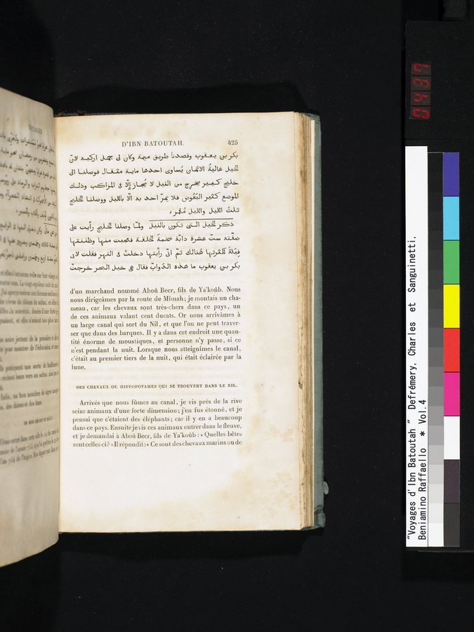Voyages d'Ibn Batoutah : vol.4 / 437 ページ（カラー画像）