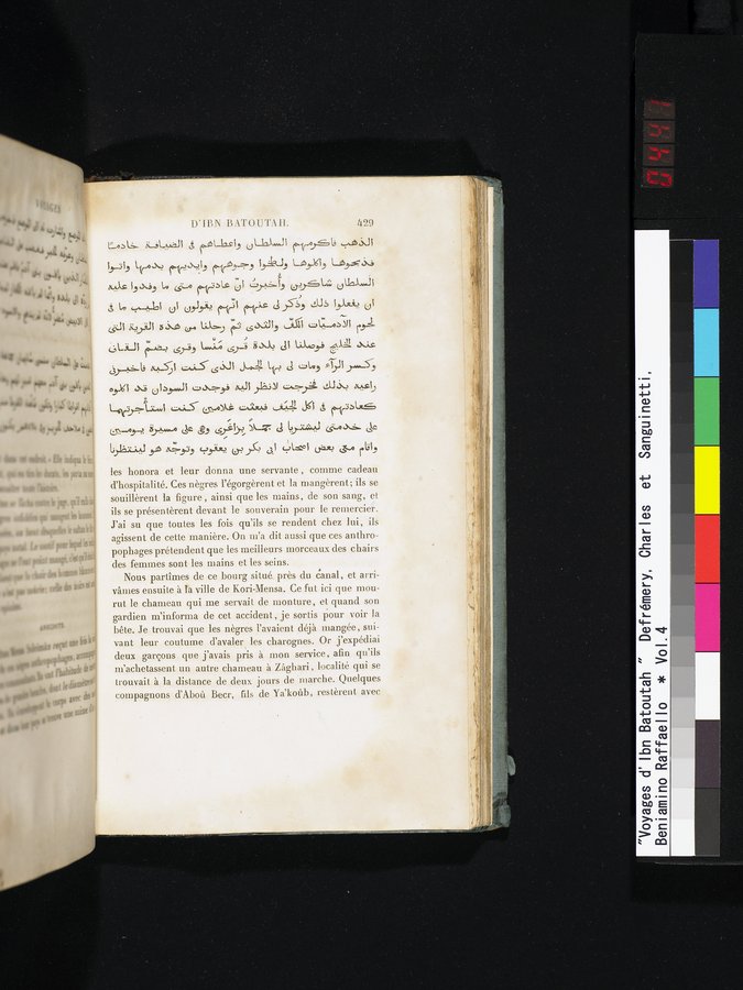Voyages d'Ibn Batoutah : vol.4 / 441 ページ（カラー画像）
