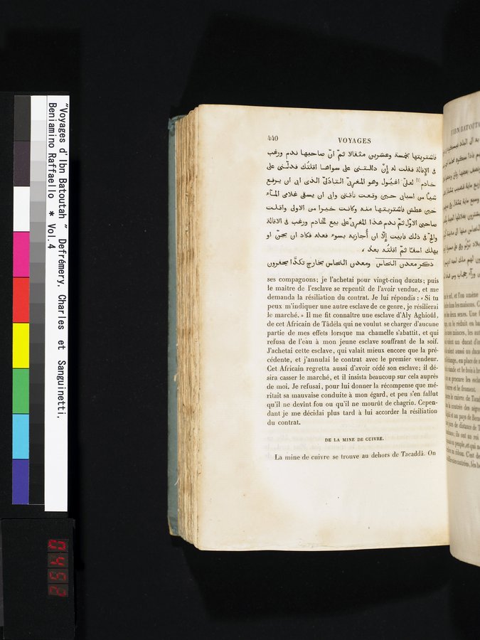 Voyages d'Ibn Batoutah : vol.4 / 452 ページ（カラー画像）