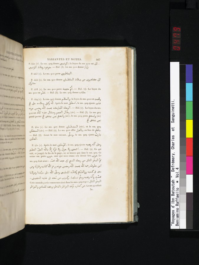 Voyages d'Ibn Batoutah : vol.4 / 479 ページ（カラー画像）