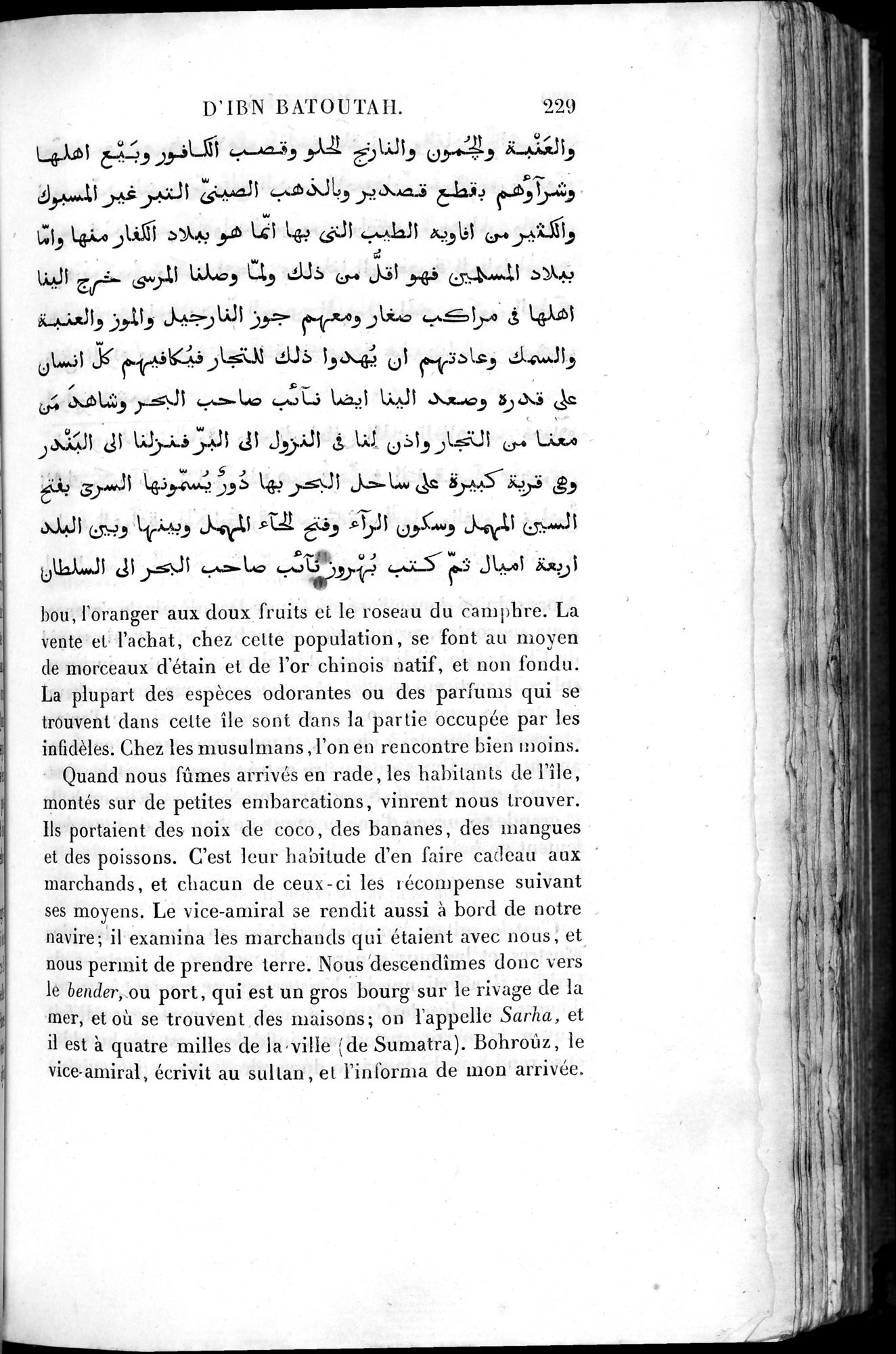 Voyages d'Ibn Batoutah : vol.4 / 241 ページ（白黒高解像度画像）