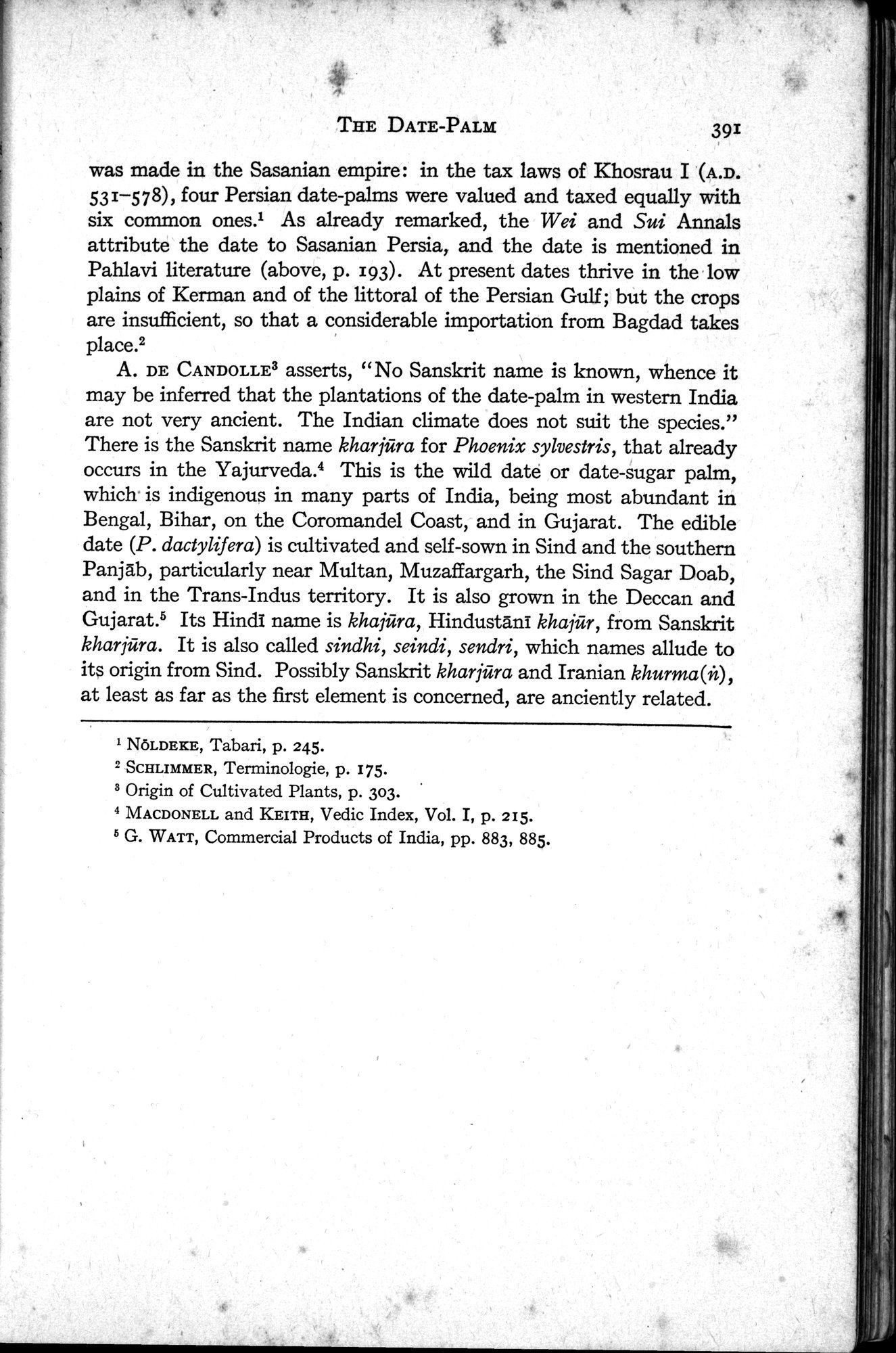 Sino-Iranica : vol.1 / 217 ページ（白黒高解像度画像）