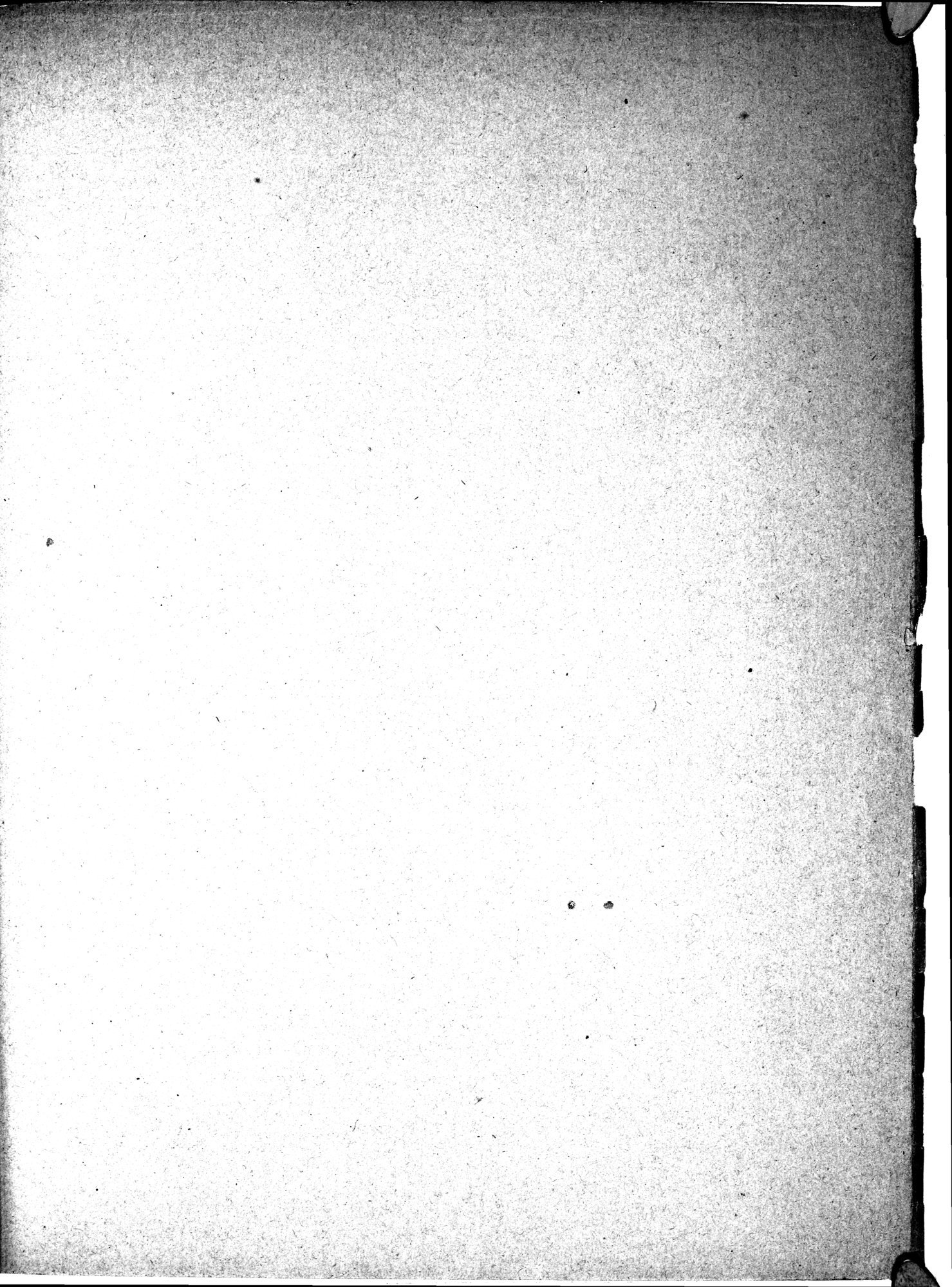Bericht über archäologische Arbeiten in Idikutschari und Umgebung im Winter 1902-1903 : vol.1 / Page 271 (Grayscale High Resolution Image)