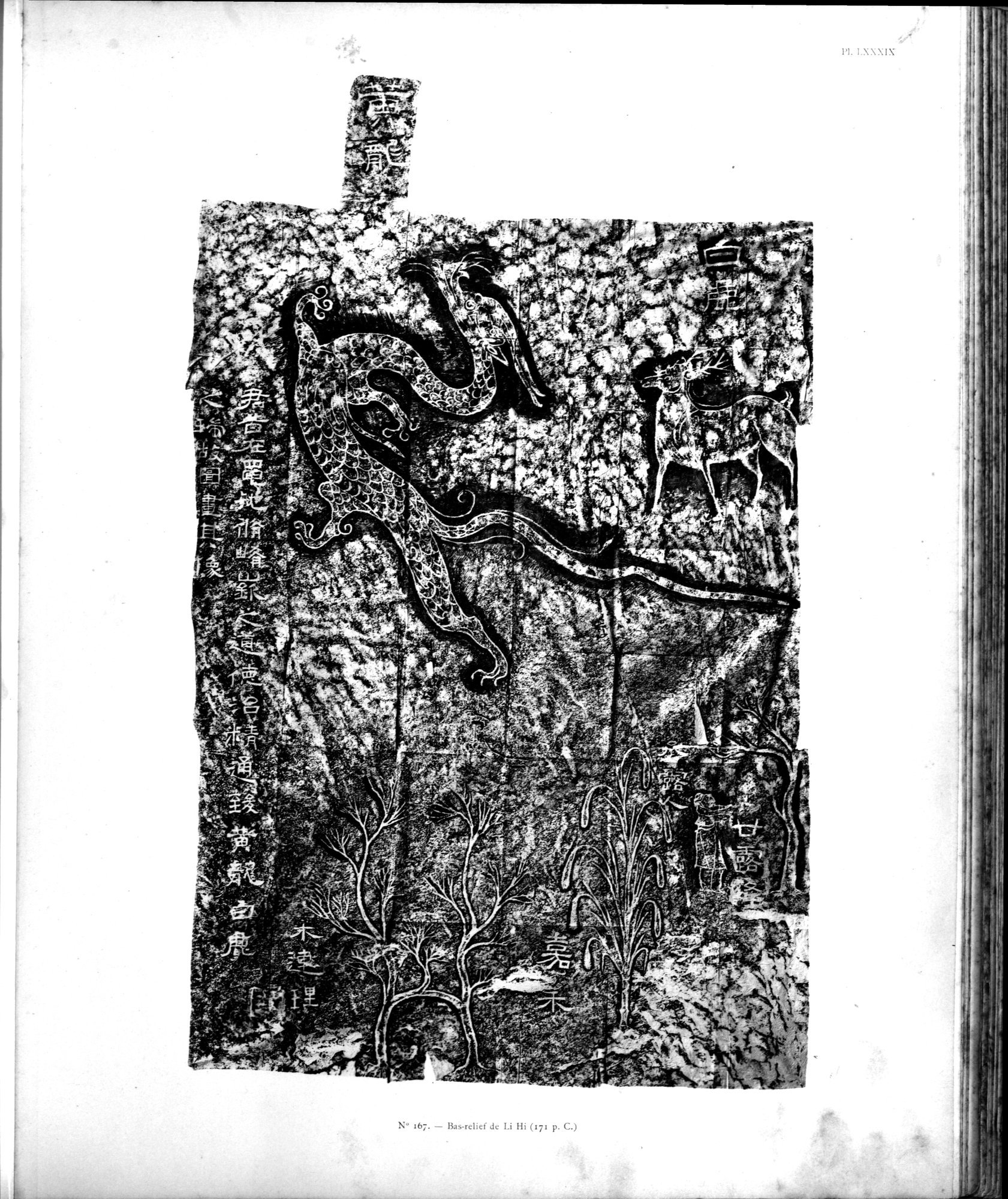 Mission archéologique dans la Chine septentrionale : vol.3 / Page 265 (Grayscale High Resolution Image)