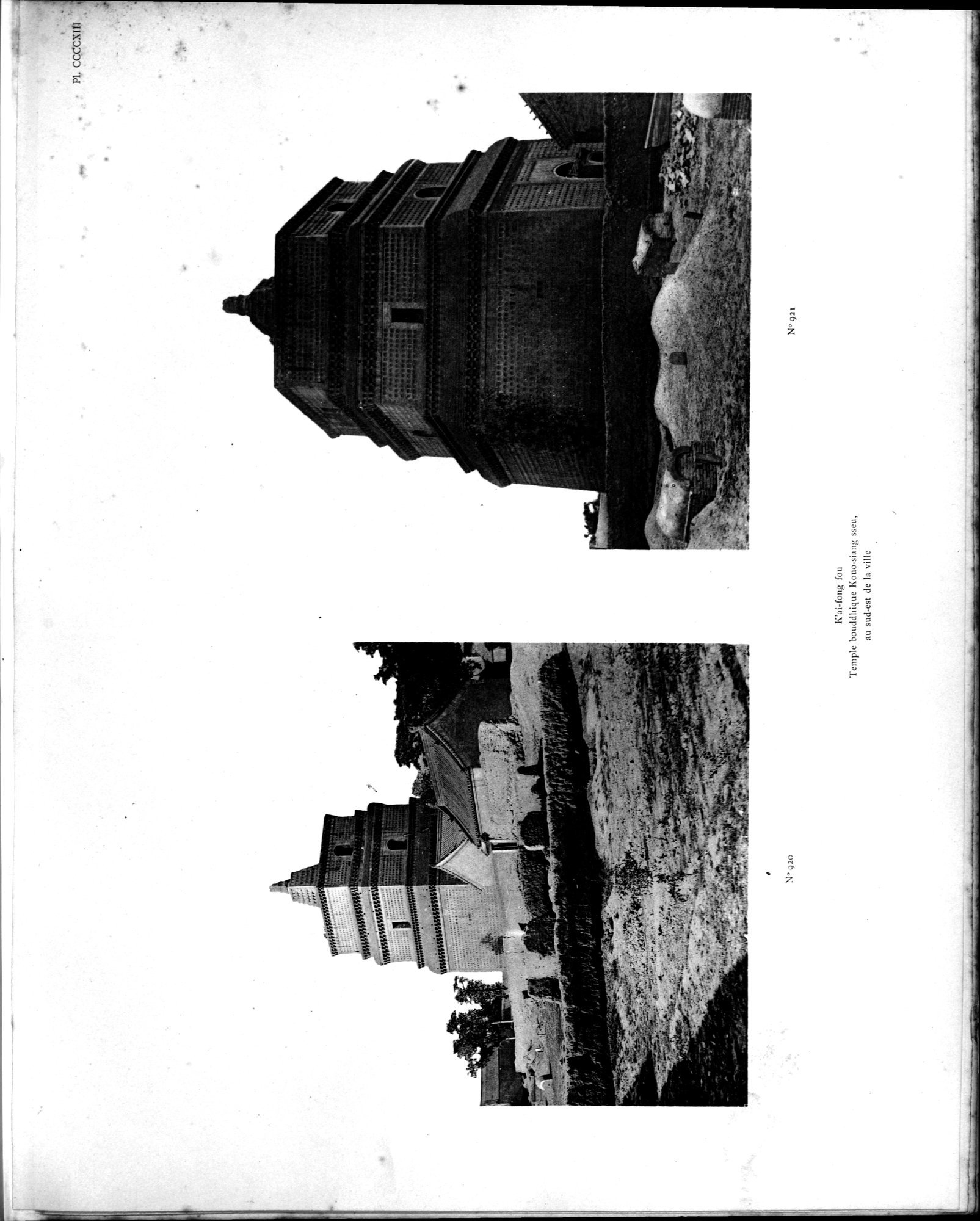 Mission archéologique dans la Chine septentrionale : vol.5 / 219 ページ（白黒高解像度画像）