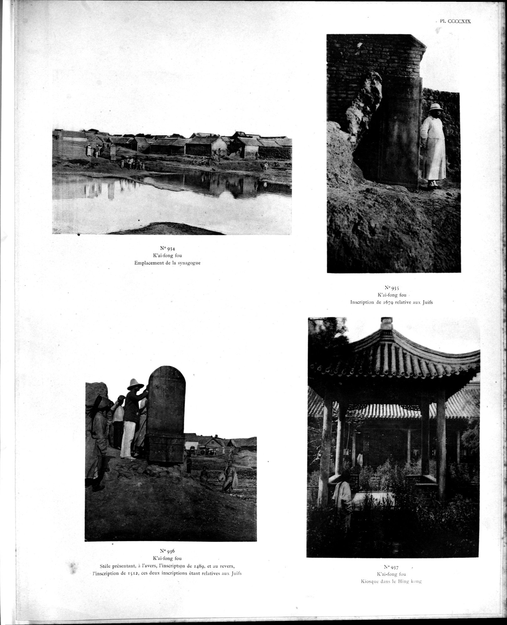 Mission archéologique dans la Chine septentrionale : vol.5 / 231 ページ（白黒高解像度画像）