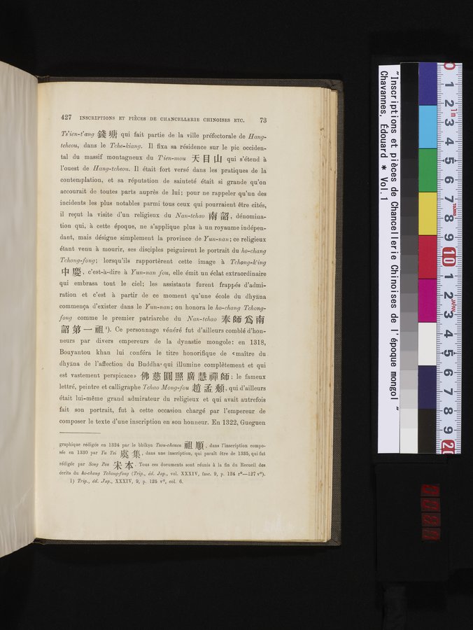 Inscriptions et pièces de Chancellerie Chinoises de l'époque mongol : vol.1 / Page 87 (Color Image)