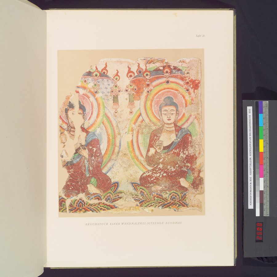 Die Buddhistische Spätantike in Mittelasien : vol.3 / 103 ページ（カラー画像）