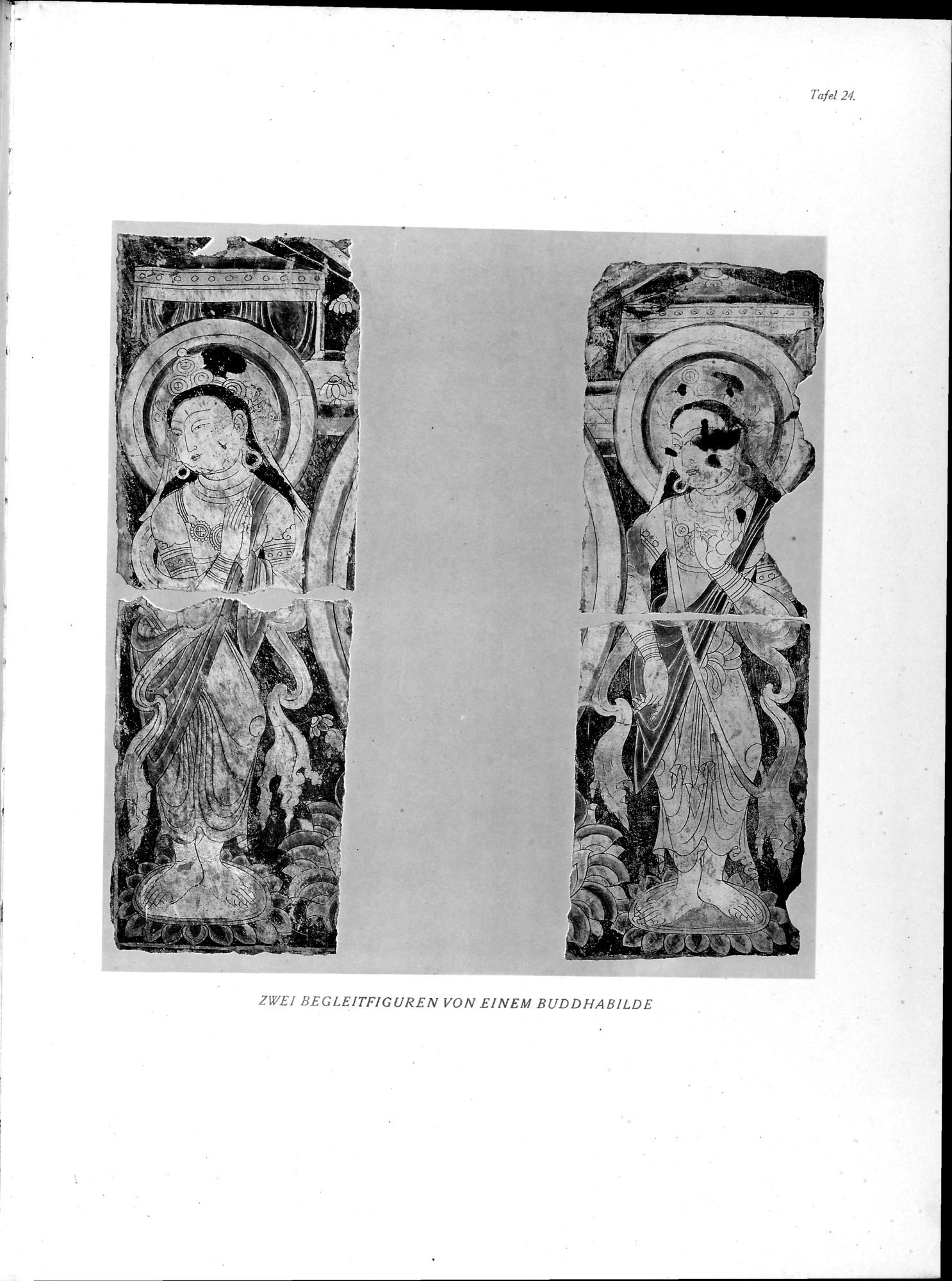 Die Buddhistische Spätantike in Mittelasien : vol.5 / 95 ページ（白黒高解像度画像）