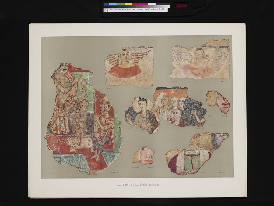 Wall Paintings from Ancient Shrines in Central Asia : vol.2 / Page 4 (Color Image)