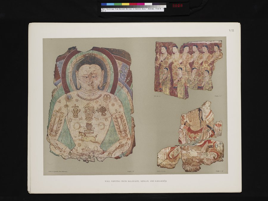 Wall Paintings from Ancient Shrines in Central Asia : vol.2 / 9 ページ（カラー画像）