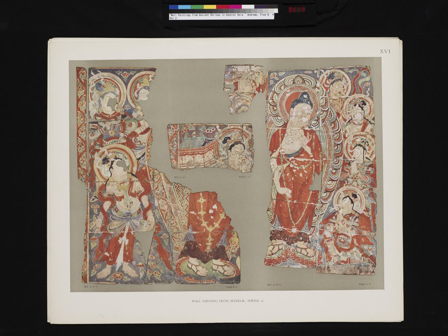 Wall Paintings from Ancient Shrines in Central Asia : vol.2 / Page 19 (Color Image)