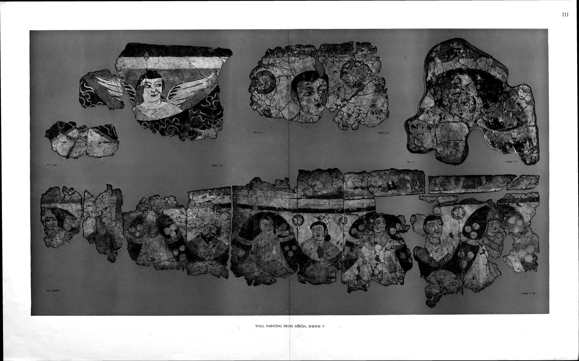 Wall Paintings from Ancient Shrines in Central Asia : vol.2 / Page 6 (Grayscale High Resolution Image)