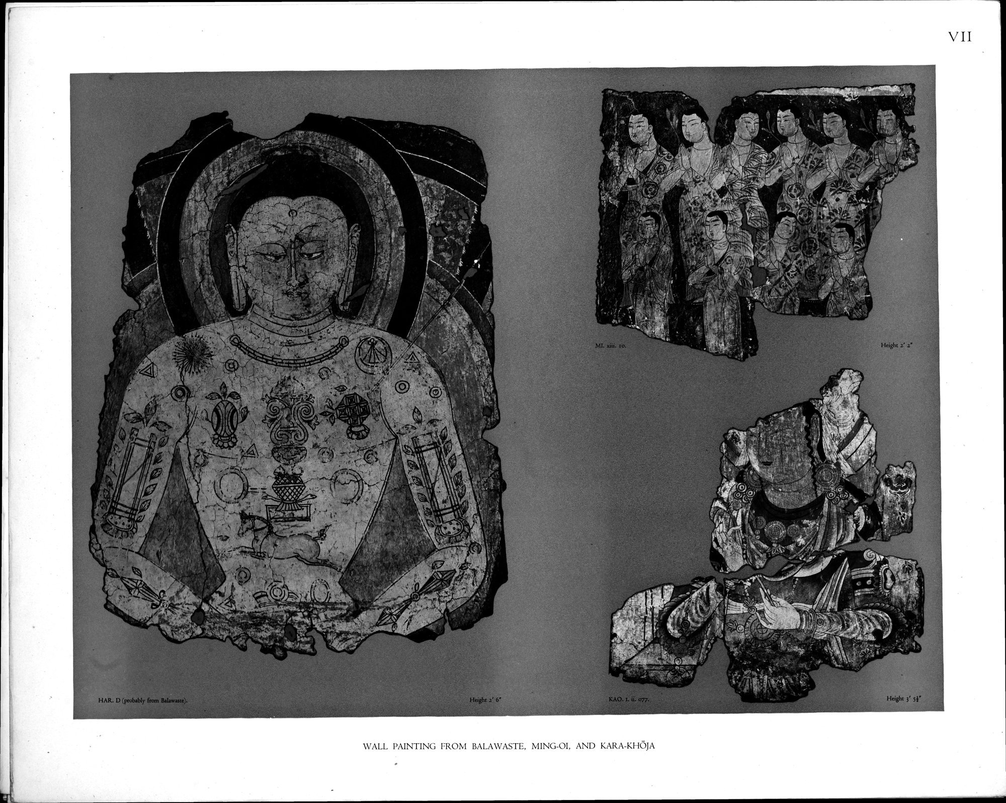 Wall Paintings from Ancient Shrines in Central Asia : vol.2 / Page 9 (Grayscale High Resolution Image)