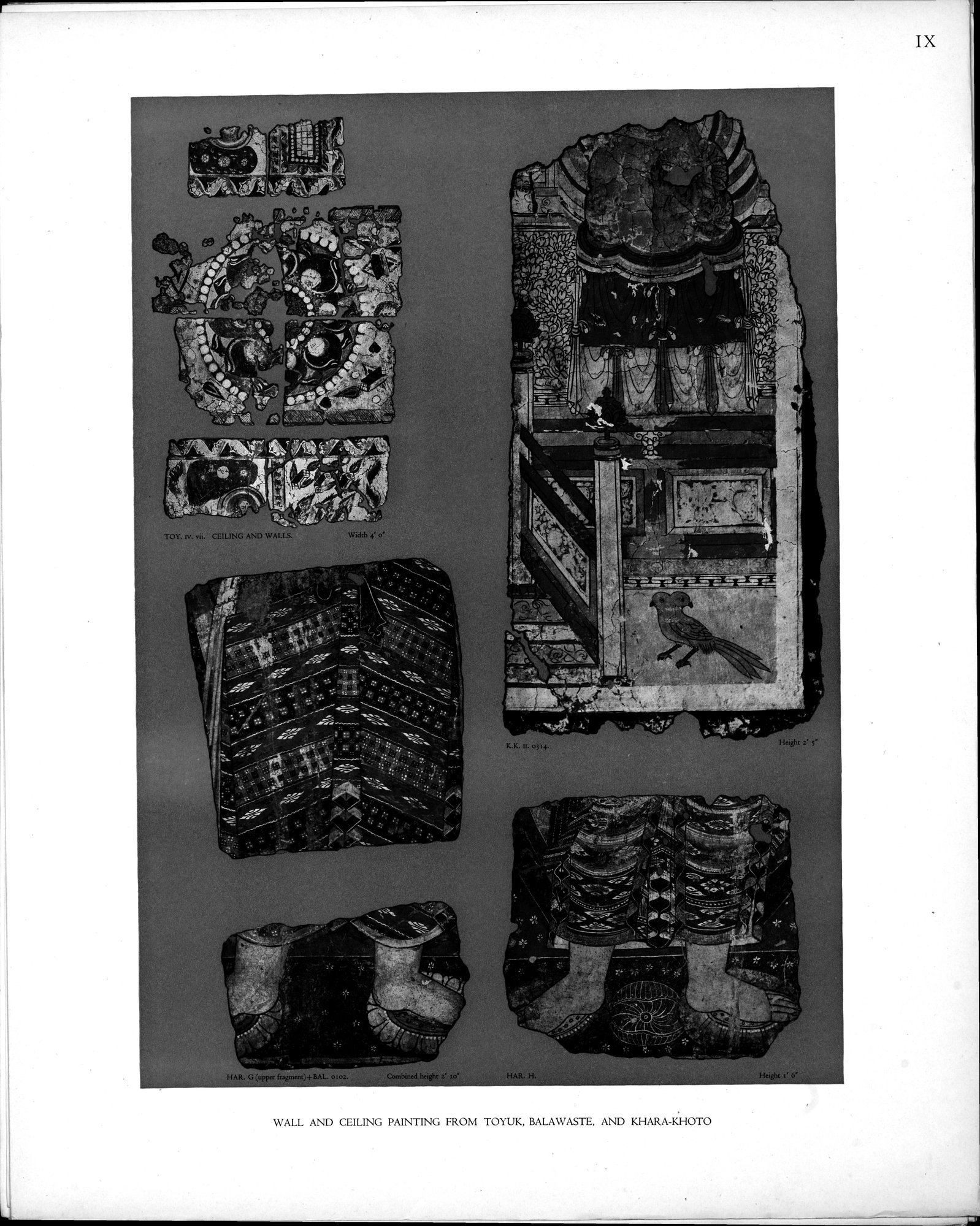 Wall Paintings from Ancient Shrines in Central Asia : vol.2 / Page 12 (Grayscale High Resolution Image)
