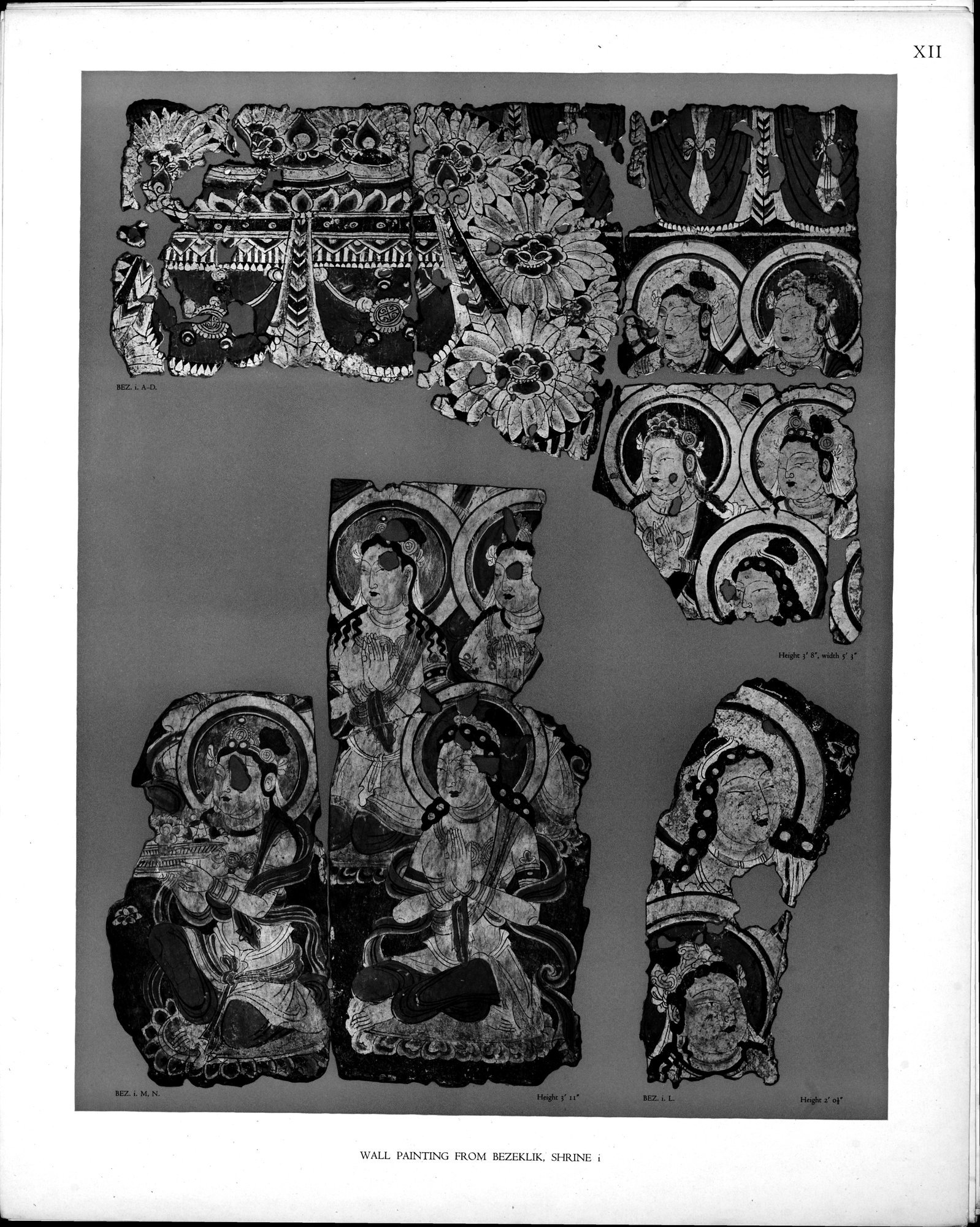 Wall Paintings from Ancient Shrines in Central Asia : vol.2 / Page 15 (Grayscale High Resolution Image)