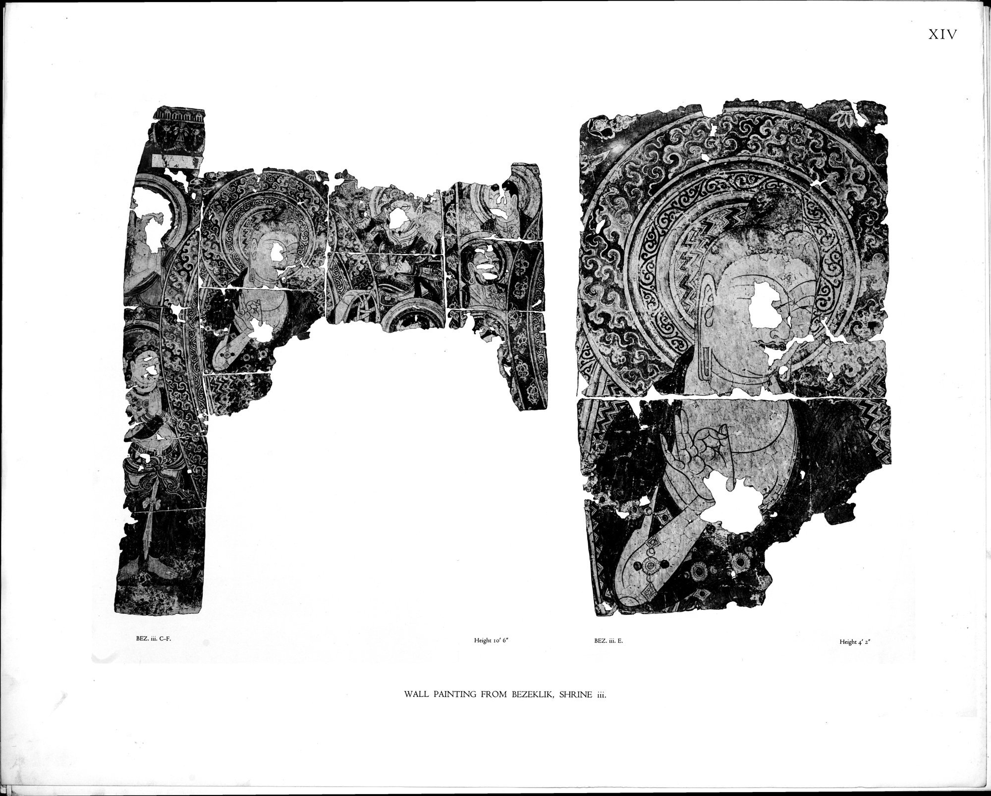 Wall Paintings from Ancient Shrines in Central Asia : vol.2 / Page 17 (Grayscale High Resolution Image)