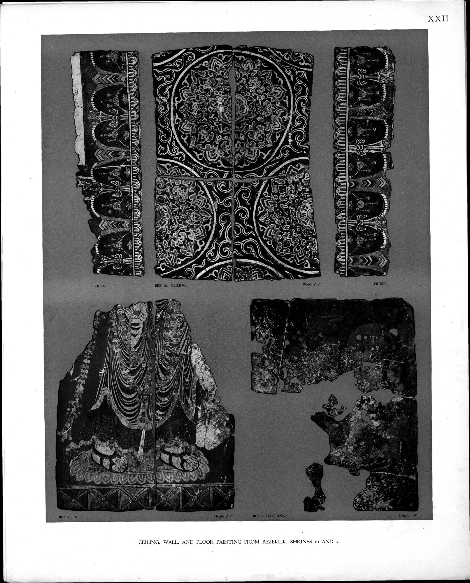Wall Paintings from Ancient Shrines in Central Asia : vol.2 / Page 25 (Grayscale High Resolution Image)
