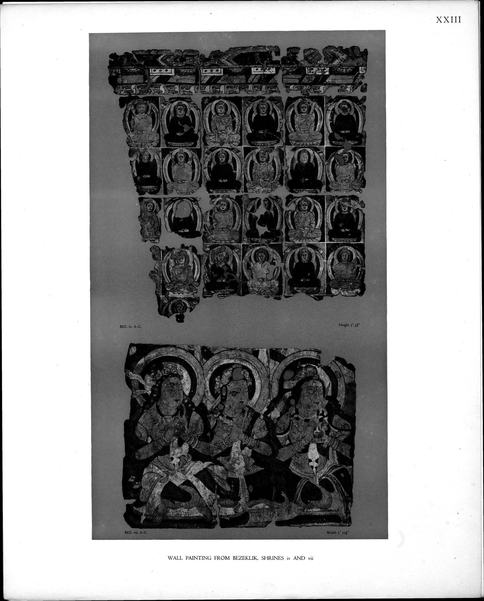 Wall Paintings from Ancient Shrines in Central Asia : vol.2 / Page 26 (Grayscale High Resolution Image)