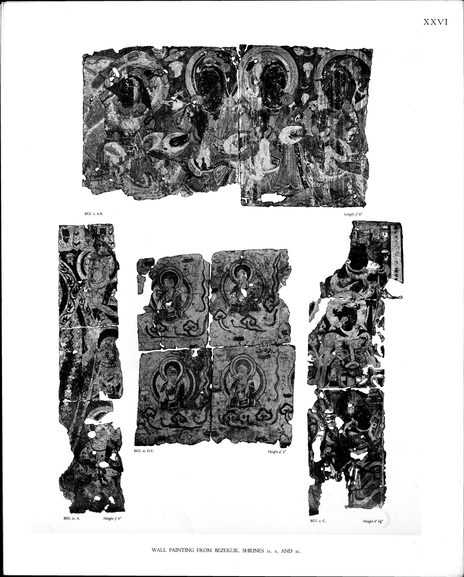 Wall Paintings from Ancient Shrines in Central Asia : vol.2 / Page 29 (Grayscale High Resolution Image)