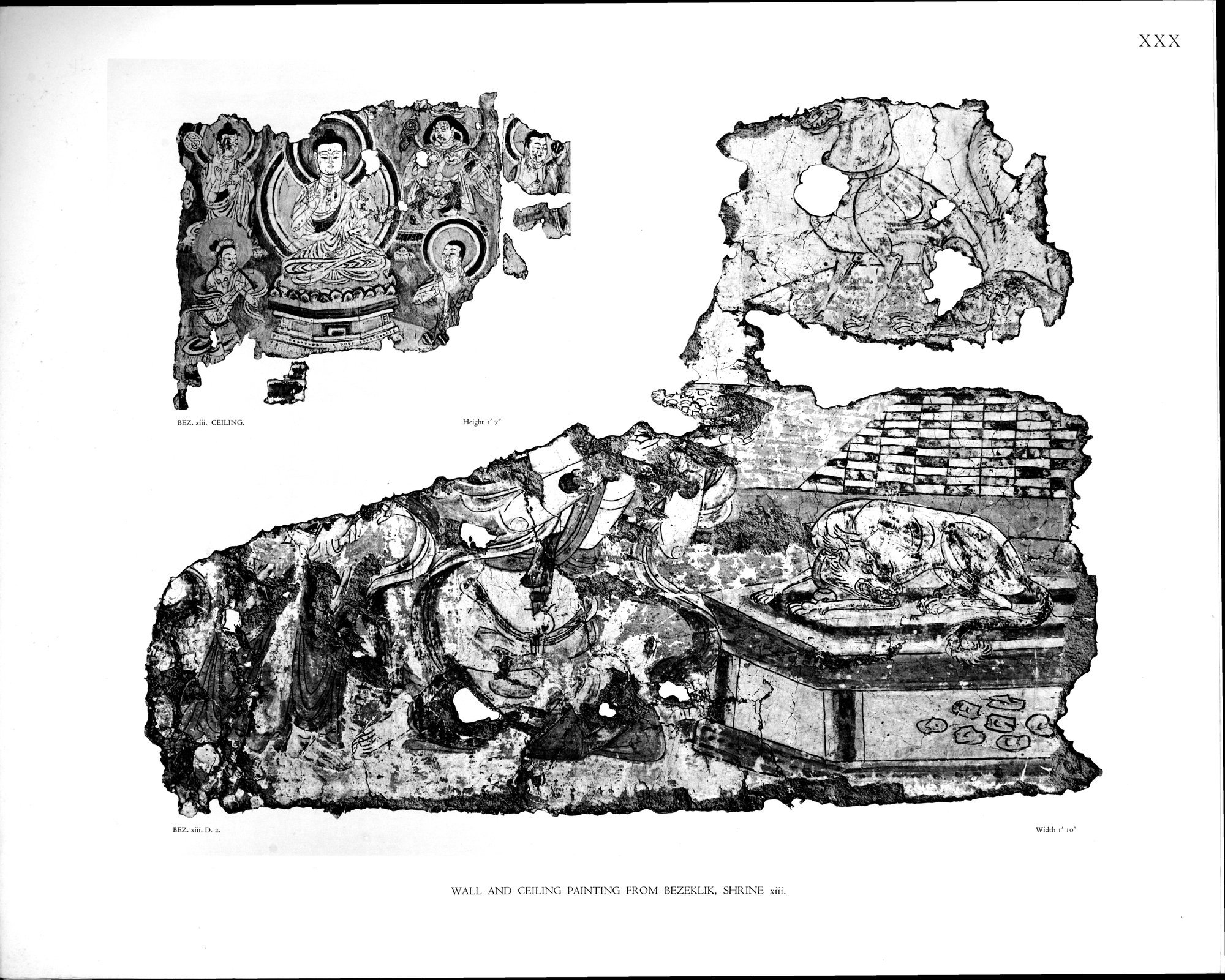 Wall Paintings from Ancient Shrines in Central Asia : vol.2 / Page 33 (Grayscale High Resolution Image)