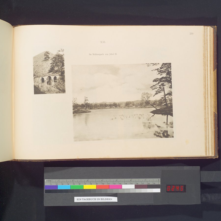 Ein Tagebuch in Bildern : vol.1 / 489 ページ（カラー画像）