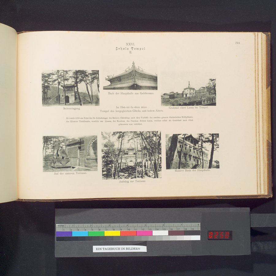 Ein Tagebuch in Bildern : vol.1 / 499 ページ（カラー画像）