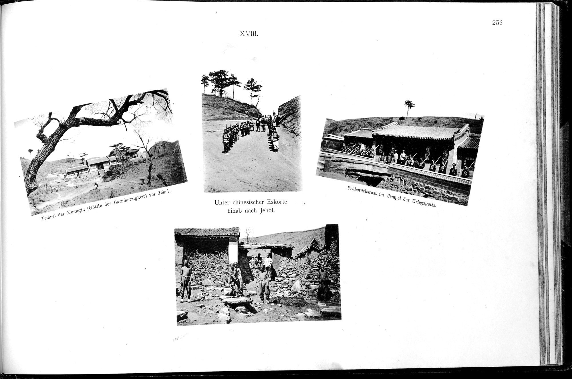 Ein Tagebuch in Bildern : vol.1 / 483 ページ（白黒高解像度画像）