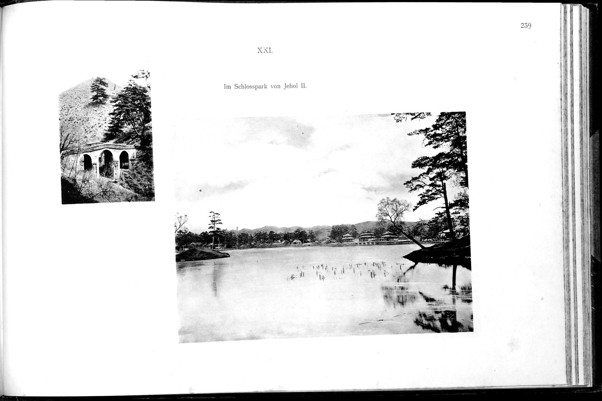Ein Tagebuch in Bildern : vol.1 / Page 489 (Grayscale High Resolution Image)