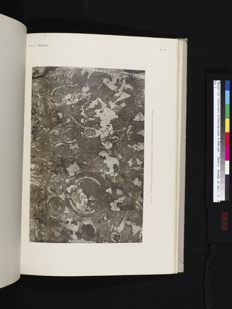 Nouvelles Recherches Archéologiques à Bāmiyān : vol.1 : Page 215