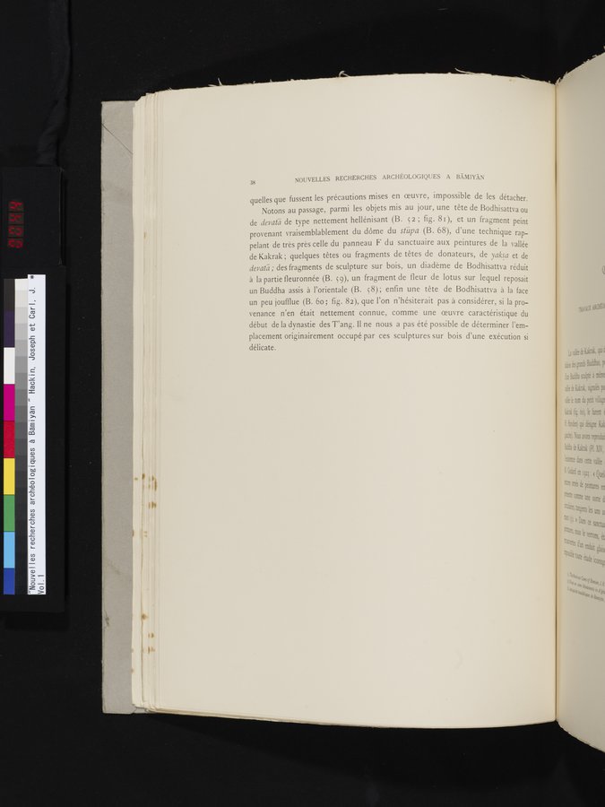 Nouvelles Recherches Archéologiques à Bāmiyān : vol.1 / 44 ページ（カラー画像）