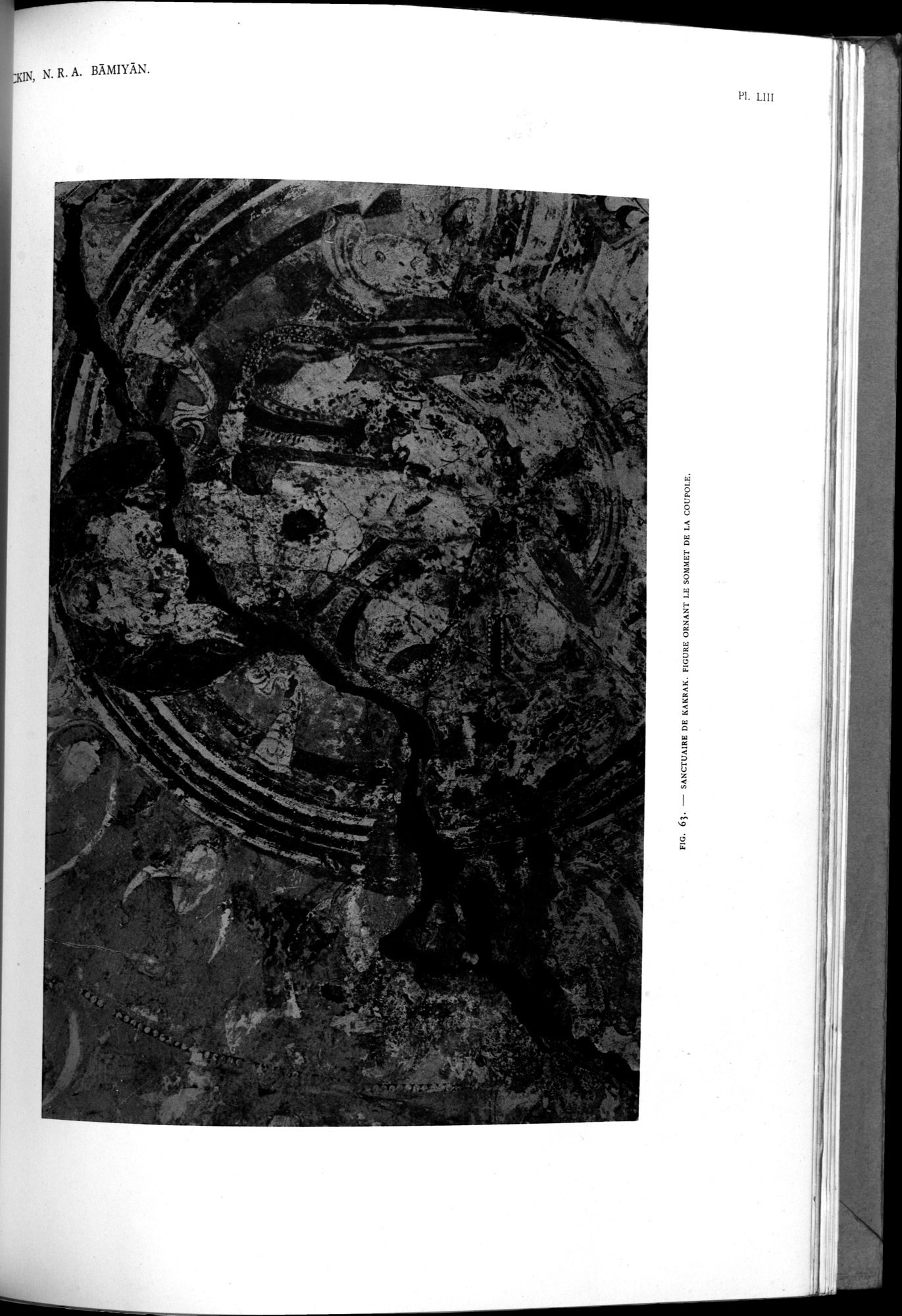 Nouvelles Recherches Archéologiques à Bāmiyān : vol.1 / 217 ページ（白黒高解像度画像）