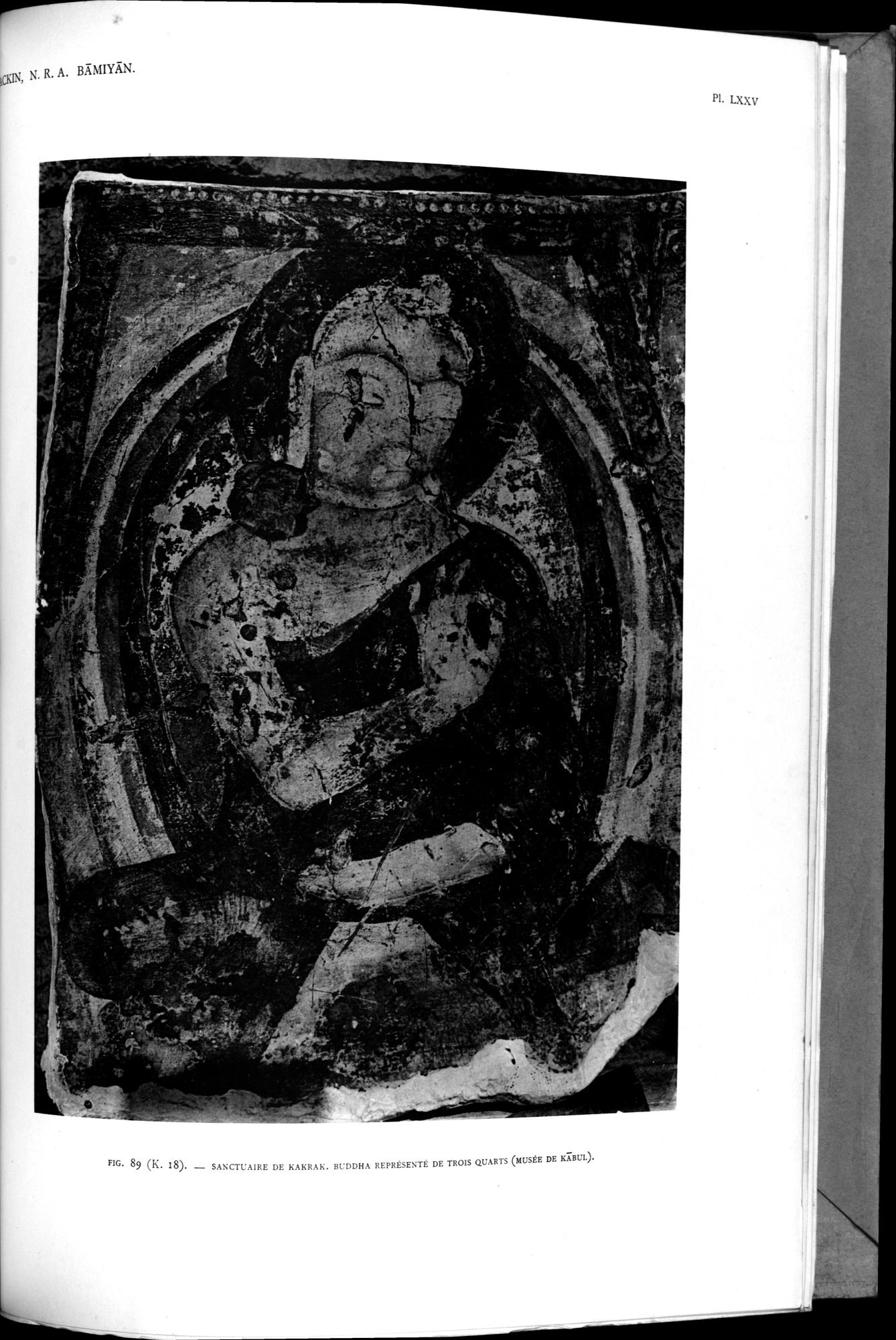 Nouvelles Recherches Archéologiques à Bāmiyān : vol.1 / 271 ページ（白黒高解像度画像）