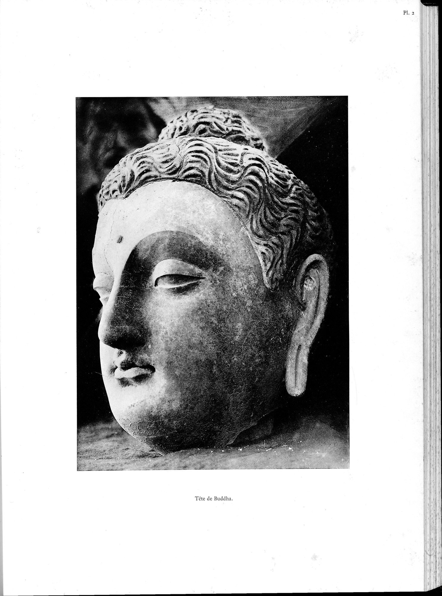 Les Fouilles de Haḍḍa III : vol.3 / 41 ページ（白黒高解像度画像）