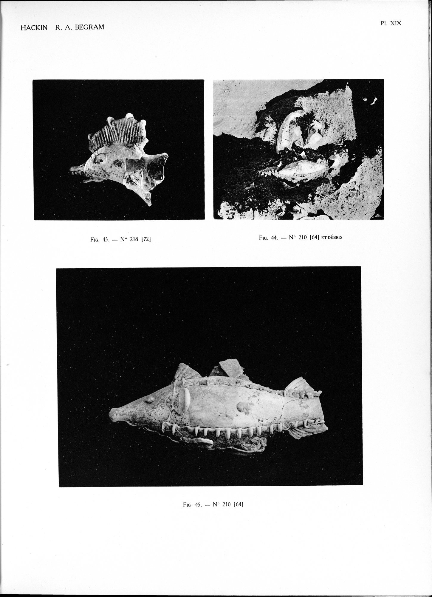 Recherches Archéologiques à Begram : vol.2 / 43 ページ（白黒高解像度画像）