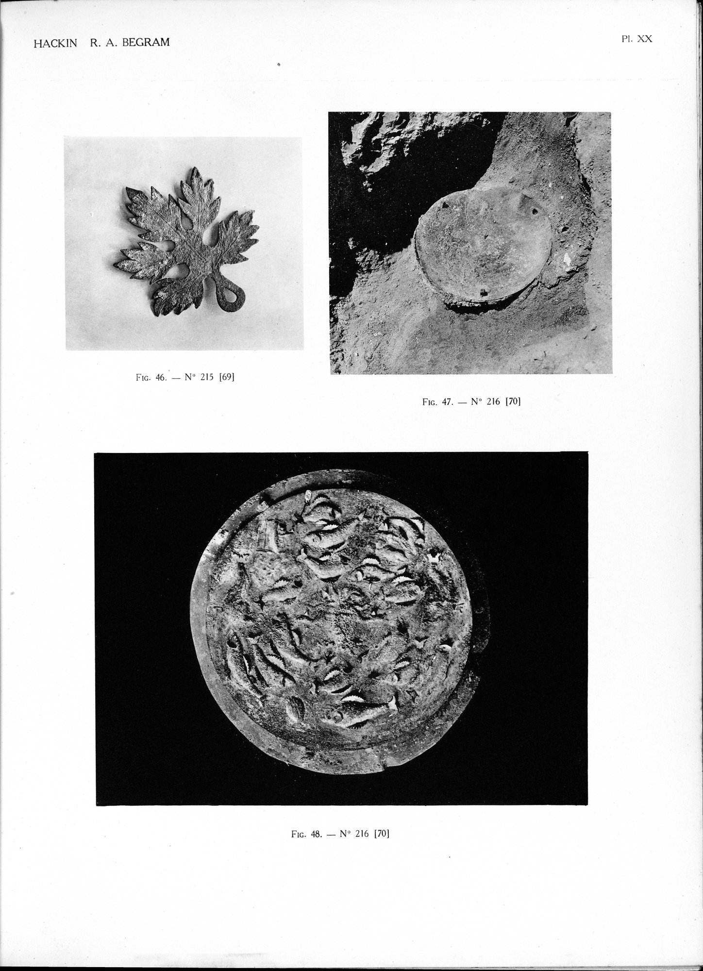 Recherches Archéologiques à Begram : vol.2 / Page 45 (Grayscale High Resolution Image)