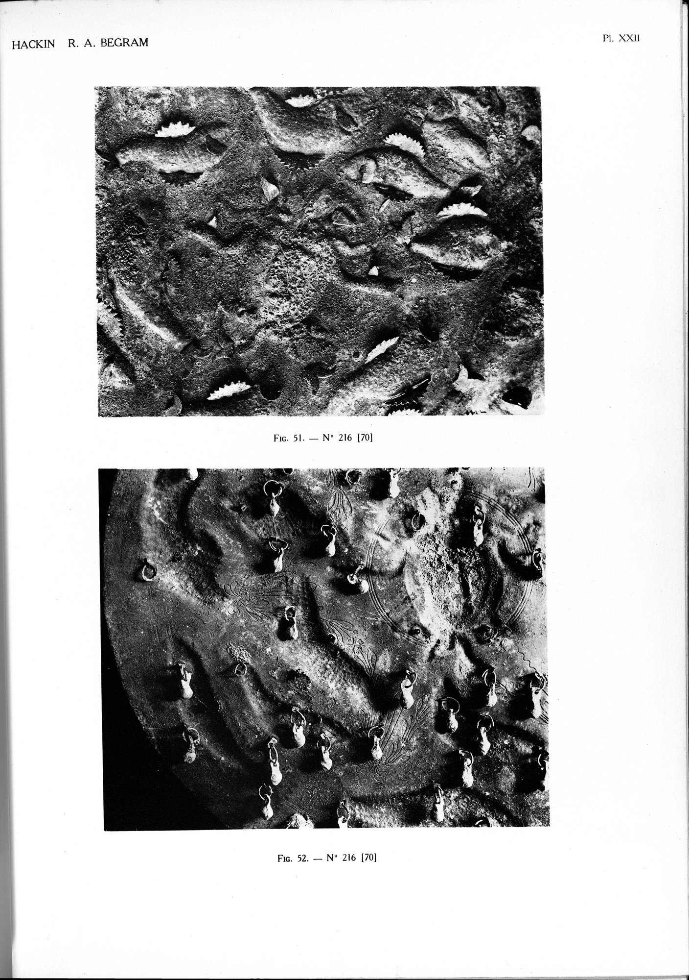 Recherches Archéologiques à Begram : vol.2 / Page 49 (Grayscale High Resolution Image)