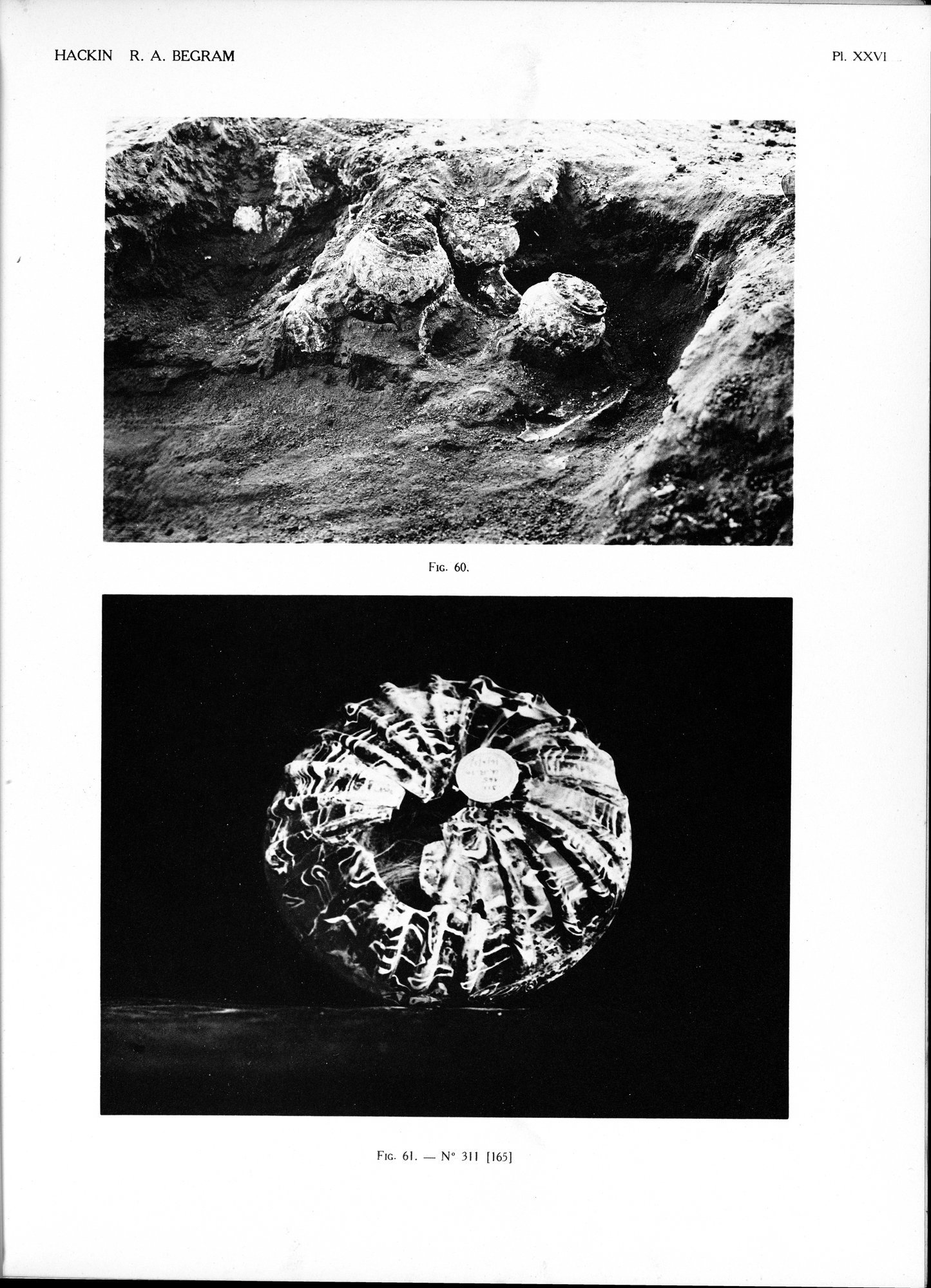 Recherches Archéologiques à Begram : vol.2 / Page 57 (Grayscale High Resolution Image)