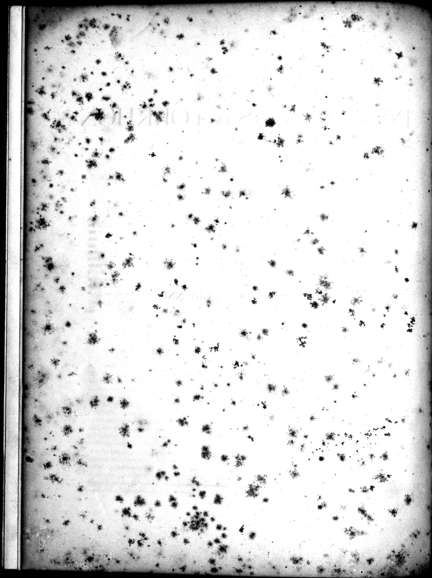 Inscriptions de l'Orkhon : vol.1 / Page 10 (Grayscale High Resolution Image)