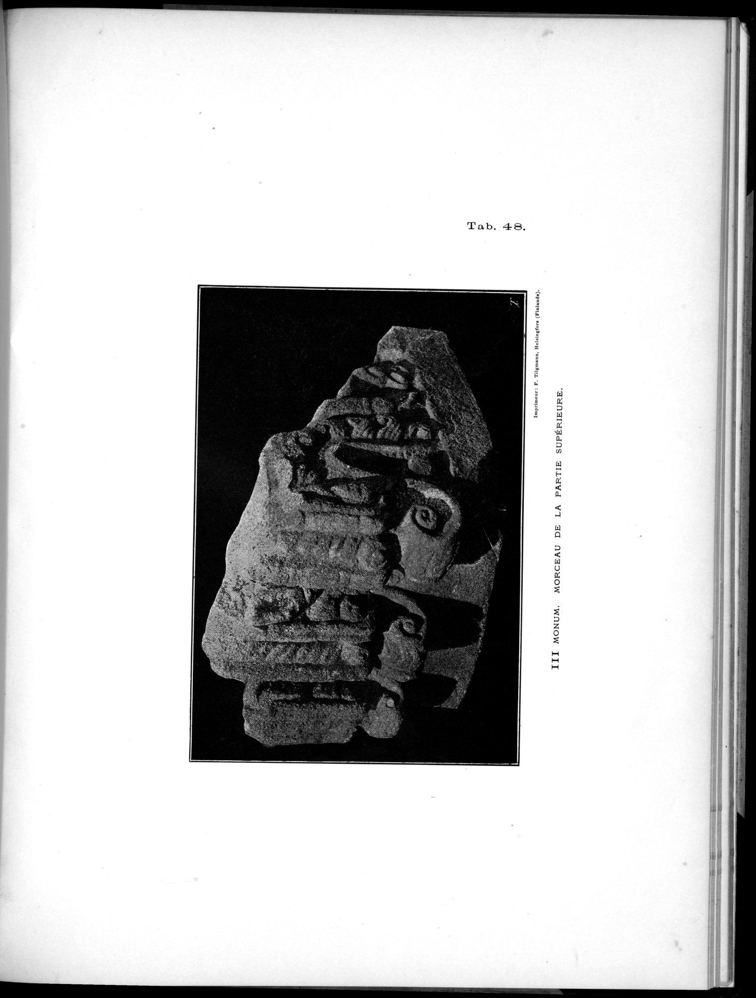 Inscriptions de l'Orkhon : vol.1 / 201 ページ（白黒高解像度画像）